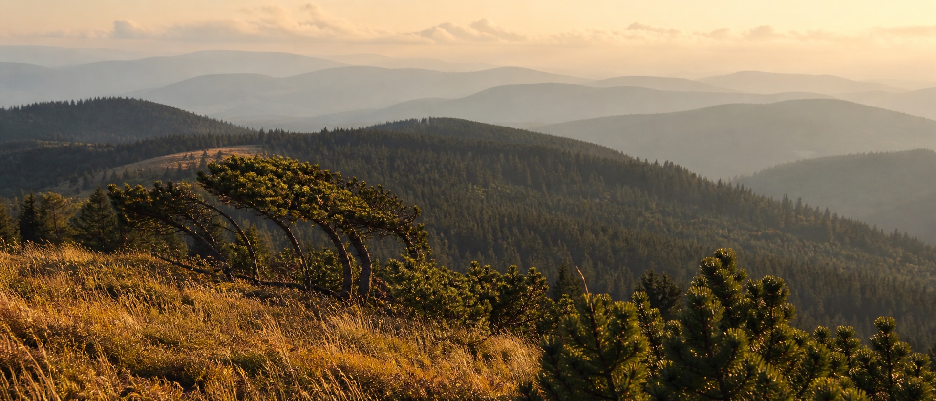 Stimmungsbild Feldberg
