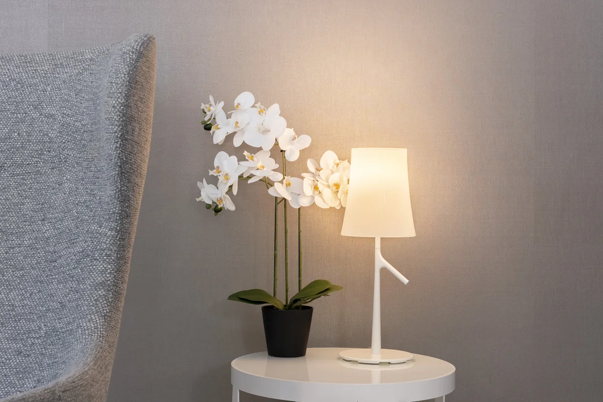 Detailaufnahme mit Tischleuchte und weißer Orchidee
